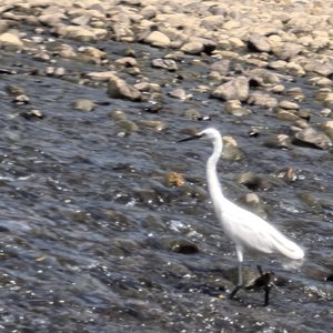 行至云开雾散时