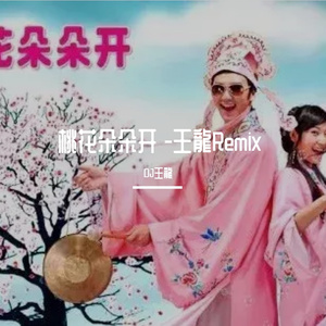 阿牛-桃花朵朵开 -王龍Remix（DJ王龍 remix）