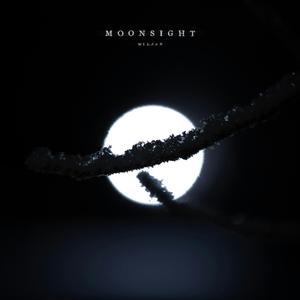 Moonsight