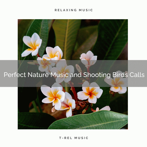 The Meadow, the Bird and Soothing Nature Noises for Peaceful Calm down pt. 2