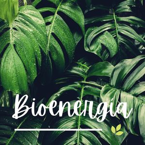 Entendiendo las Emociones