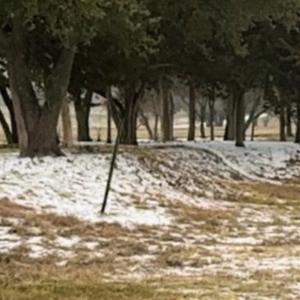 The Weather