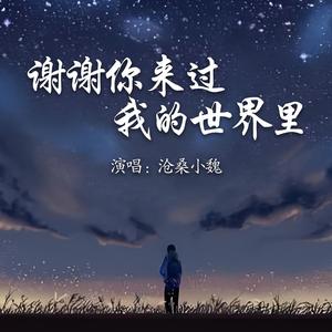 谢谢你来过我的生命里