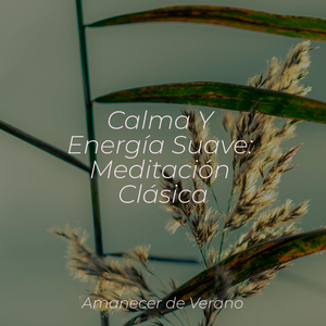 Ecos de Flores Delicadas