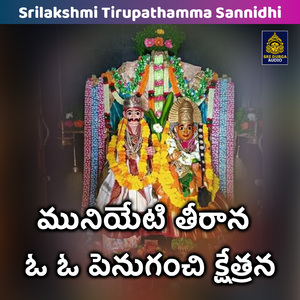 Muniyeti tirana o o penuganchi kshetrana (Srilakshmi Tirupathamma Sannidhi)