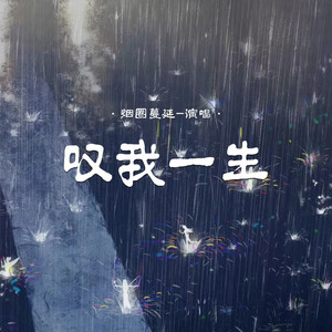 叹我一生 (DJ阿能版伴奏)