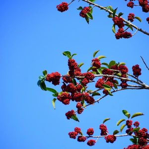 当我唱起这首歌