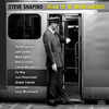Steve Shapiro - Chrome Dinette (feat. Shane Theriot, Mark Egan & Joel Rosenblatt)