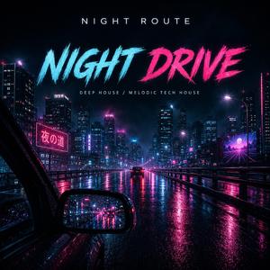 Night Drive