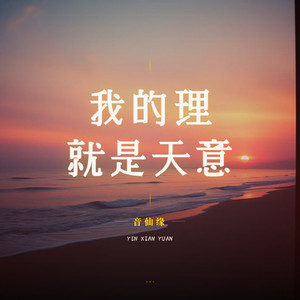 我的理就是天意
