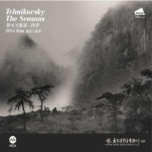 四季 Op. 37a/6：六月, 船歌