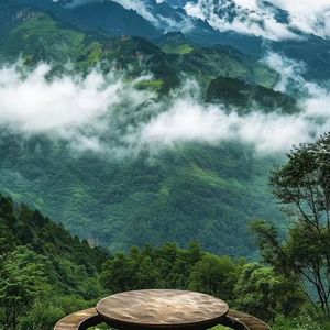 闪耀的青春战场