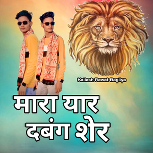 Mara Yaar Dabang Sher