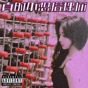 真的不想搭理你（Prod.by.SOULFRESH BEATS）