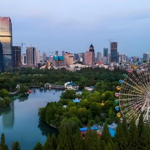 自由的鸟（致合肥）.wav