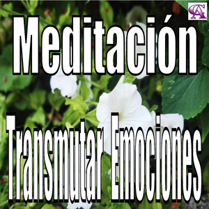 Meditación: Transmutar Emociones