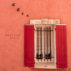 Swallow