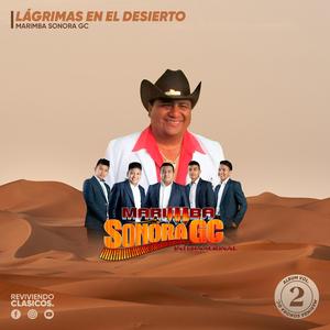 Lagrimas Del Marimbista