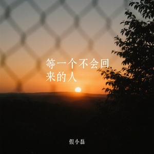 等一个不会回来的人