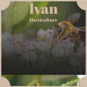 Sleepover Transformations