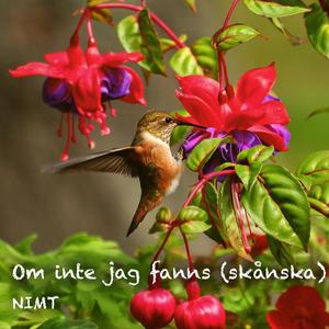 Om inte jag fanns (Jättens Låt) (skånska)