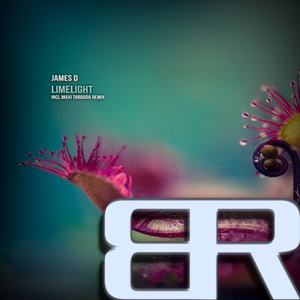 No Justice, No Peace (Original Mix)