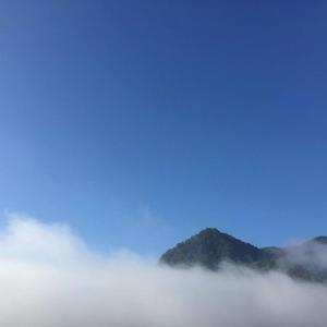 我想（prod by 蛋挞Ta）