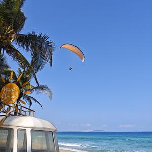 可可西里的牧羊人