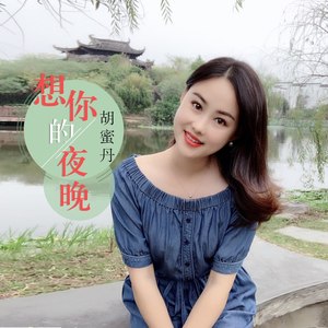 想你的夜晚 (DJ何鹏版)