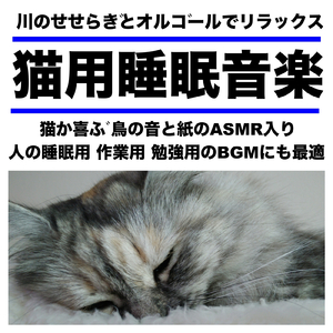 猫専用リラックスBGM