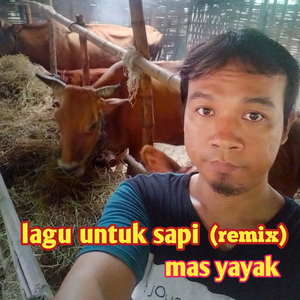 lagu untuk sapi (Remix)