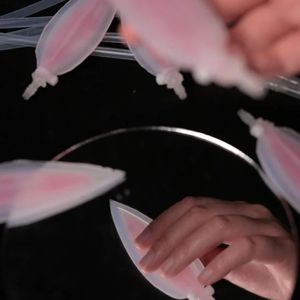 镜花水月 你听得到花儿呼吸的声音吗