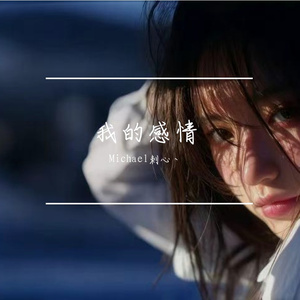 我的感情