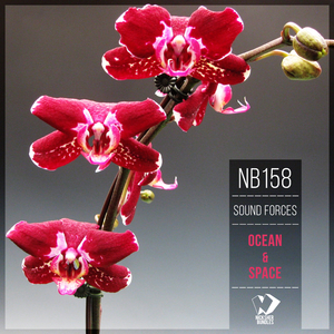 Infinity Space (Original Mix)