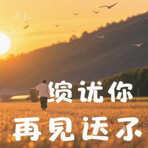 再见 (Remix)