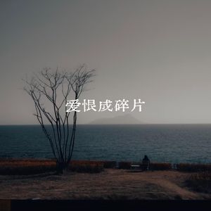 爱恨成碎片
