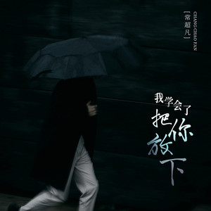 我学会了把你放下 (DJBanan版)