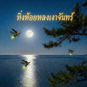 หิ่งห้อยหลงเงาจันทร์