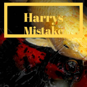 A Mom And Dad For Christmas