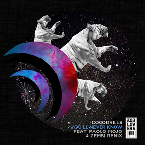 You'll Never Know (Original Mix)