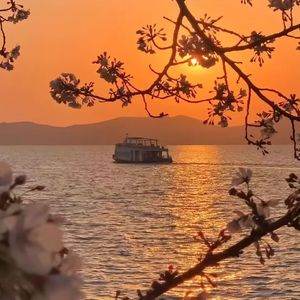 hopeless romantic （remix）