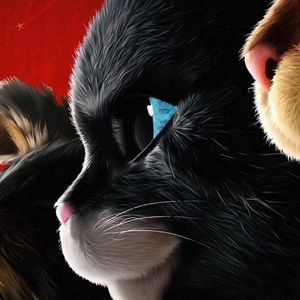 Montagem Miau（DJHAIOUREMIX)