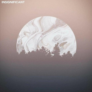 Insignificant