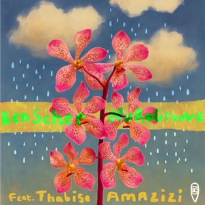 Amazizi