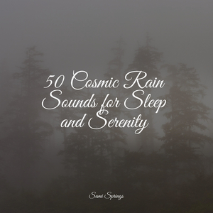 Rain Dripping from the Roof