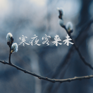 寒夜客来未