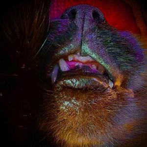 Cysgu (feat. Steven Jett)