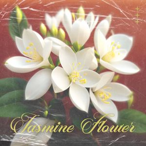 Jasmine
