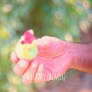Dreamy (Remix)