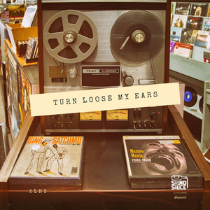 Turn Loose My Ears
